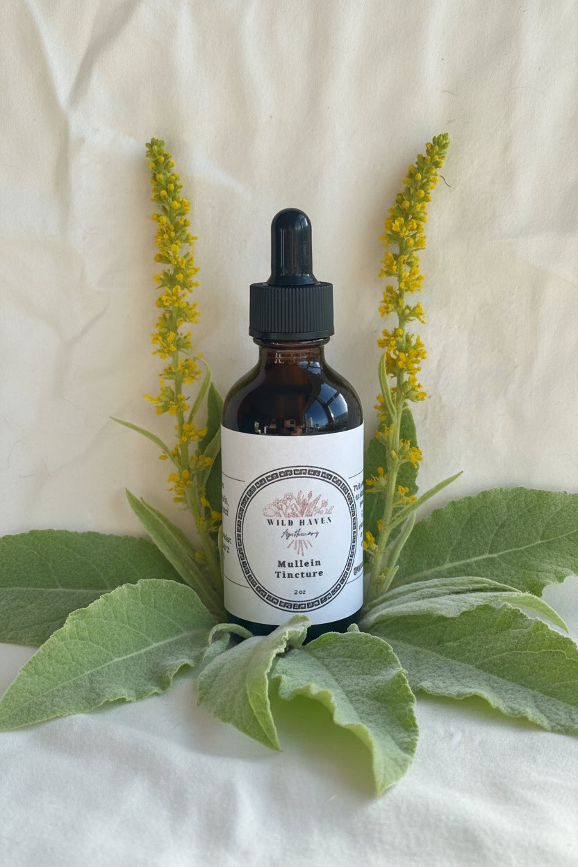 Mullein Tincture
