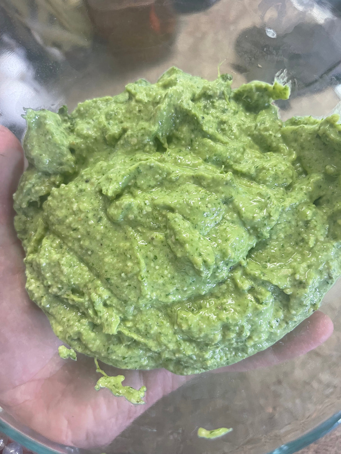 Chickweed Pesto Recipe