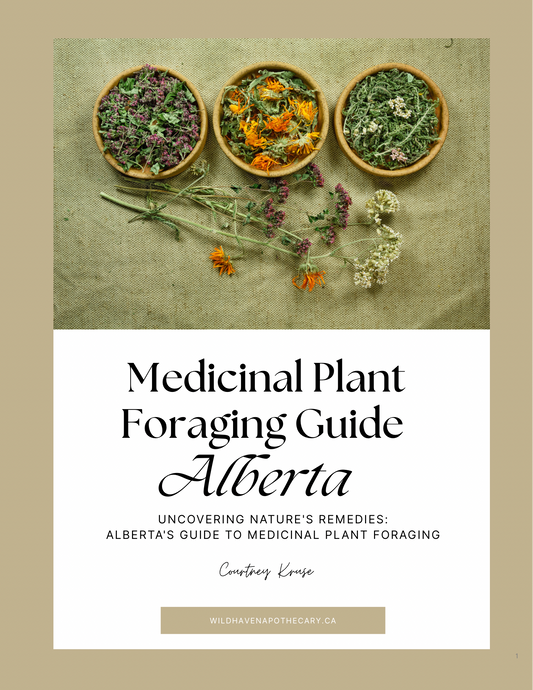 Alberta Medicinal Plant Foraging Guide E-Book